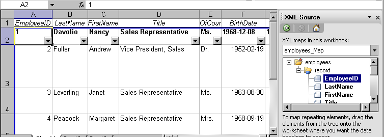 XML elements mapped to Microsoft Excel spreadsheet data columns